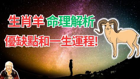 命格是什麼|什麼是命格？從命格看透你的個性與人生！｜魔幻水